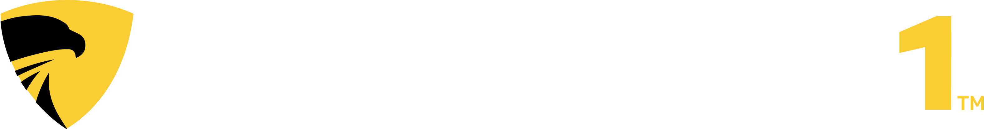 Analyst1 Brand Identity - Reversed